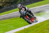 PJ-Motorsport-Photography-2020;anglesey;brands-hatch;cadwell-park;croft;donington-park;enduro-digital-images;event-digital-images;eventdigitalimages;mallory;no-limits;oulton-park;peter-wileman-photography;racing-digital-images;silverstone;snetterton;trackday-digital-images;trackday-photos;vmcc-banbury-run;welsh-2-day-enduro